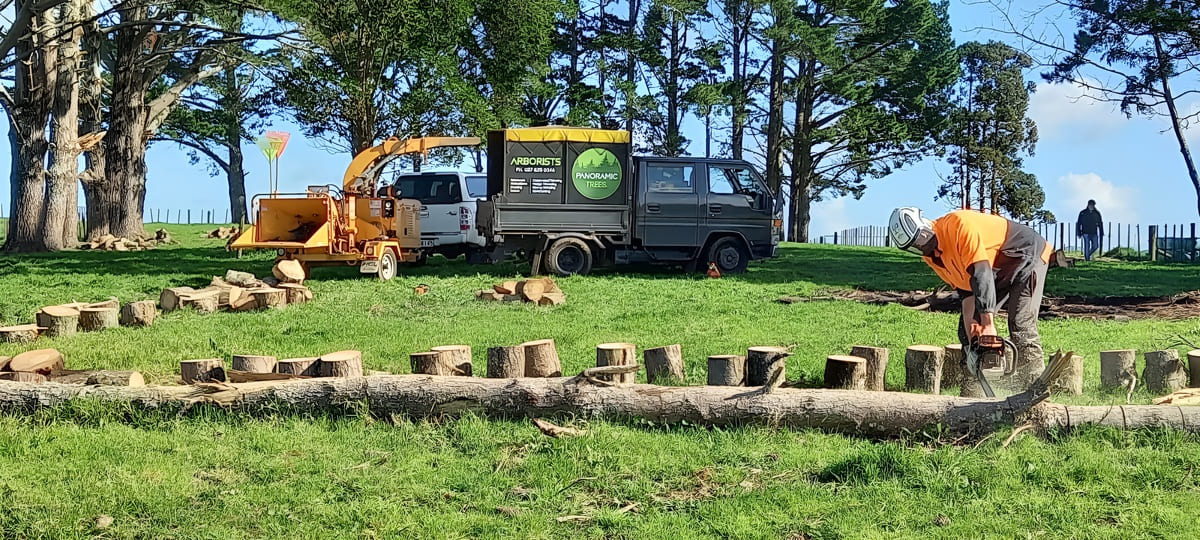 arborist hamton nz