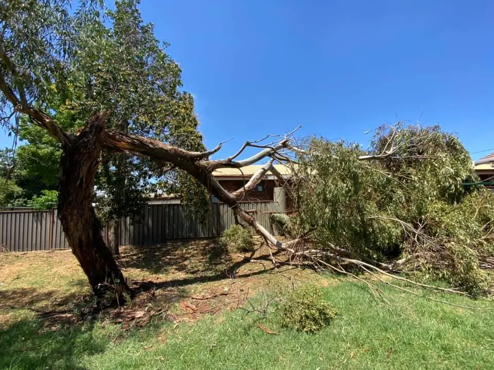 emergency storm hamilton