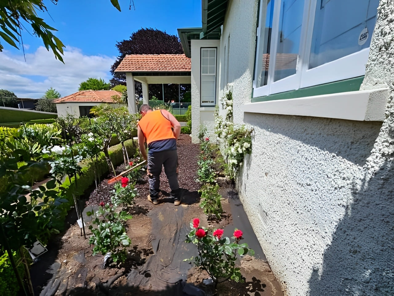 qualified arborists hamilton