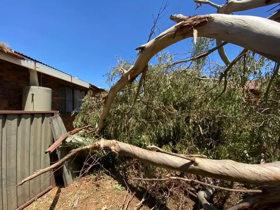 storm damage emergency hamilton