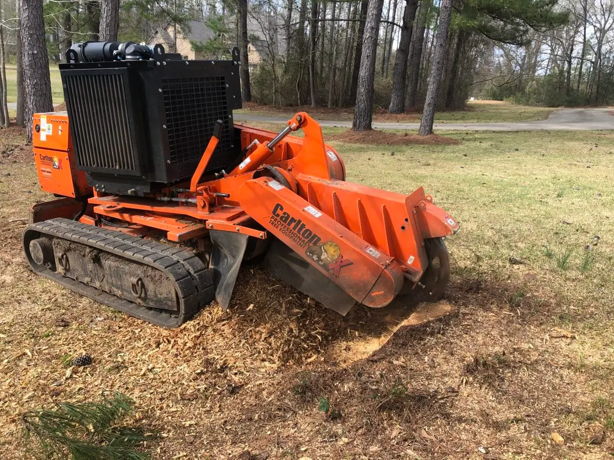 stump grinding hamilton