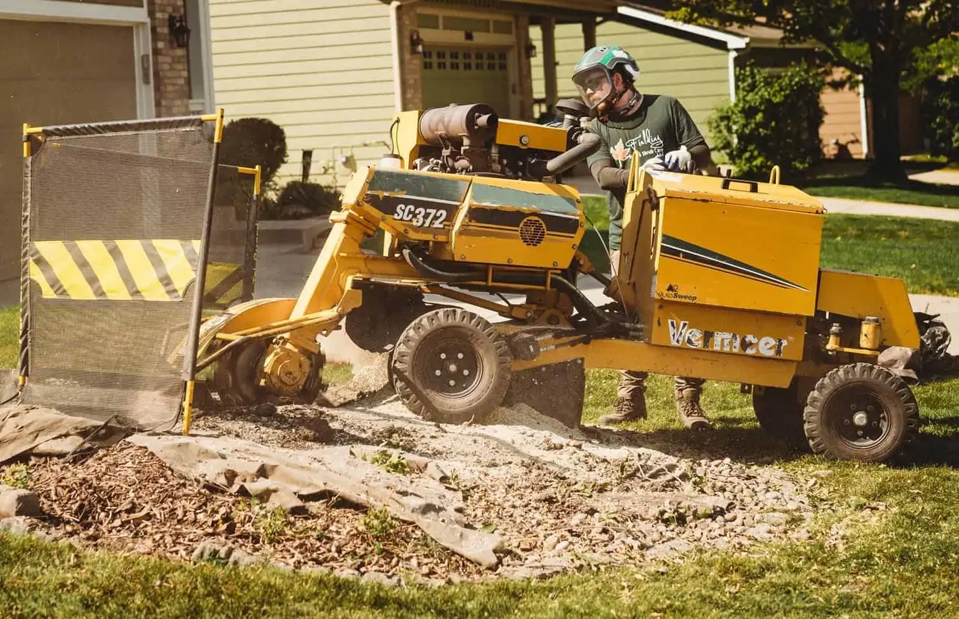 stump removal hamilton