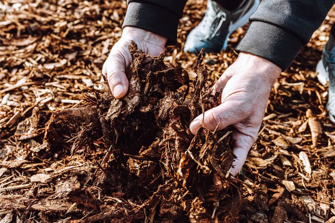 wood chipping service hamilton